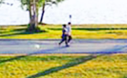 公园游记作文集合15篇