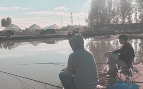 关于钓鱼的日记