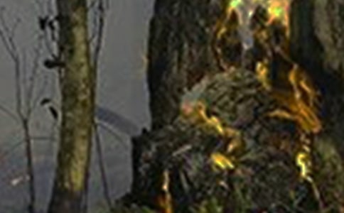 探究火灾之源观后感作文