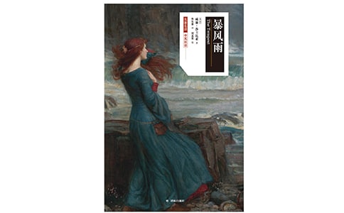 当暴风雨来临时写景作文