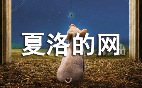 电影夏洛的网观后感