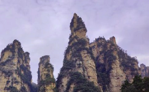 张家界游记作文金鞭溪