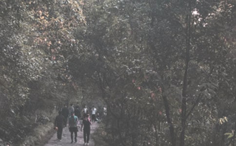 登山游记作文3篇