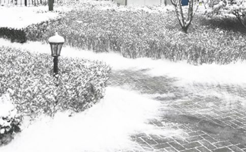 冬季的早晨800字作文