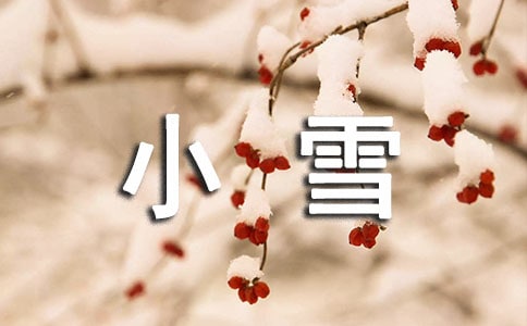 下小雪的日记250字(精选50篇)