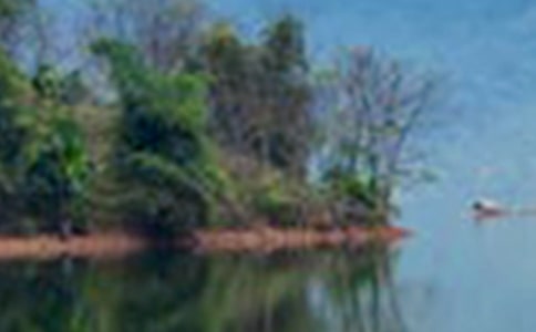 古龙溪的山水写景作文