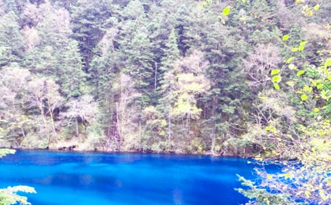 九寨沟游记优秀作文