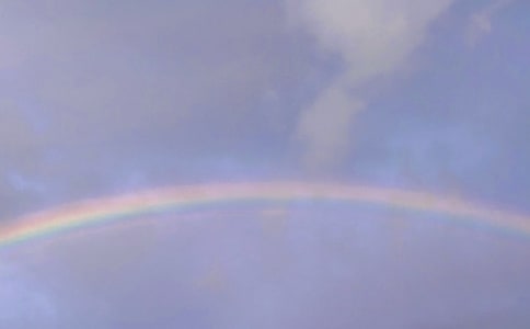 彩虹日记300字范文