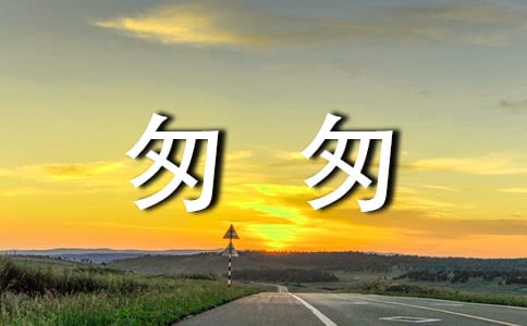 关于匆匆的读后感350字