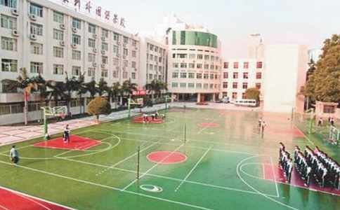 校园的早晨三年级作文