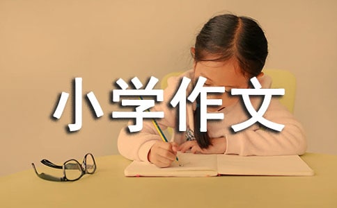 小学作文：我的苏伊士游记