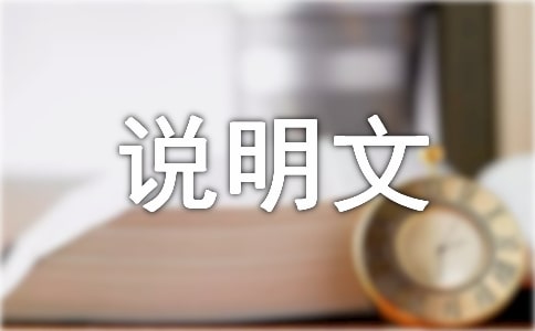 关于小学说明文写作技巧