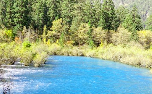 畅游九寨沟小学写景作文