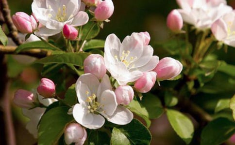 《大鱼海棠》观后感(精选26篇)