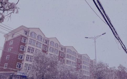 冬日的早晨作文600字