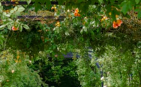 王尔德的《巨人的花园》读后感范文