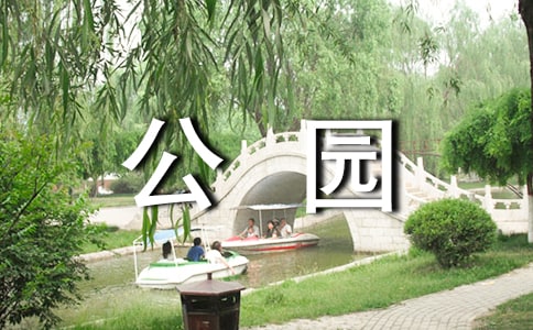 江滨公园的早晨作文400字