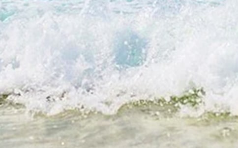 夏天的早晨作文(15篇)