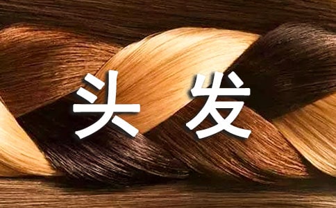 便当里的头发读后感3篇