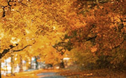 你也是一道独特的风景作文900字