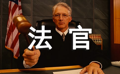 作文:小镇大法官观后感