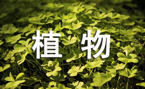 观察植物日记(15篇)