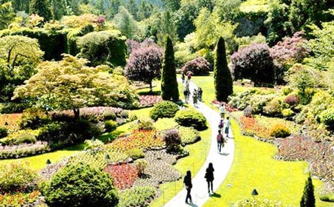 我想要一个花园小学生英语作文