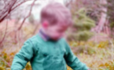 《男孩和他的'树》读后感范文