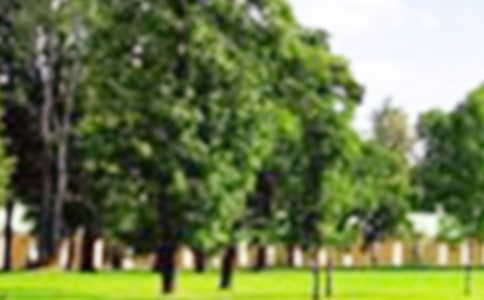 公园游记作文五篇