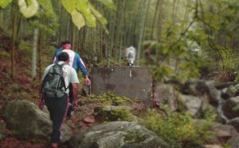 爬山的一天日记