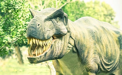 《恐龙百科》读后感范文