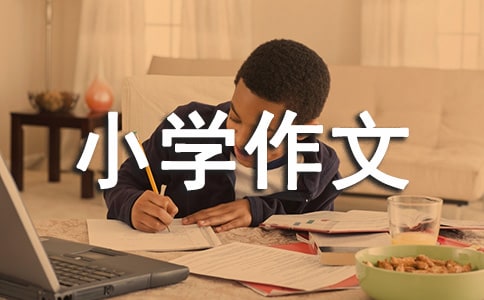 书包里的秘密小学作文400字
