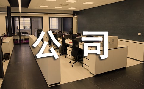 关于《公司的力量》读后感