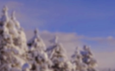 冬天带给我力量-高三日记900字