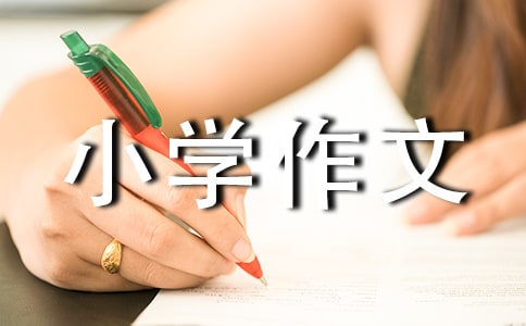 放鞭炮小学作文450字
