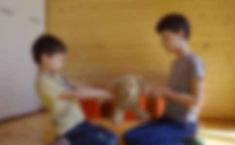 哥哥我和森林里的猫童话作文