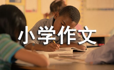 遵守交规,珍惜生命小学作文