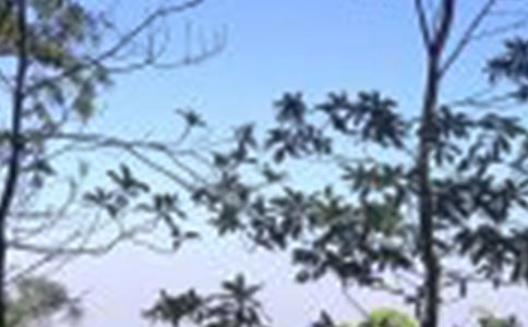 不一样的中午七年级叙事作文