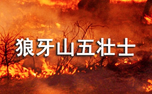 《狼牙山五壮士》的读后感作文400字