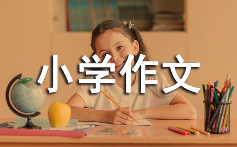 沙漠里的龟兔赛跑小学作文