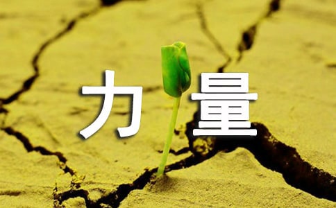 创新的力量四年级作文