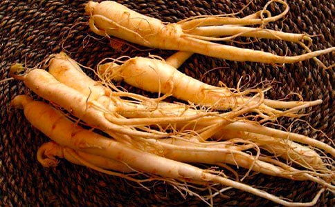 我最敬佩的人参考作文