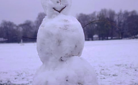 珍爱白色的冬天作文500字