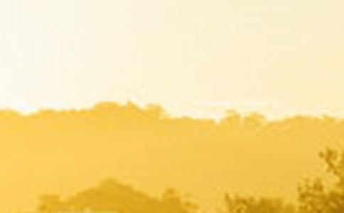 黎明之光小学叙事作文