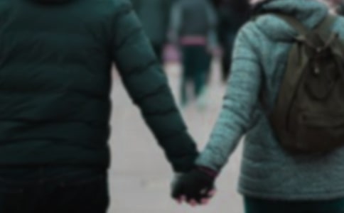 我和蜜蜂有个约会作文550字