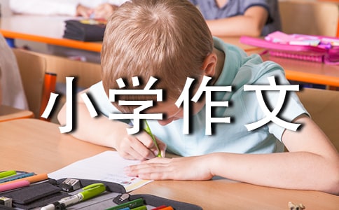 生命生命读后感小学作文