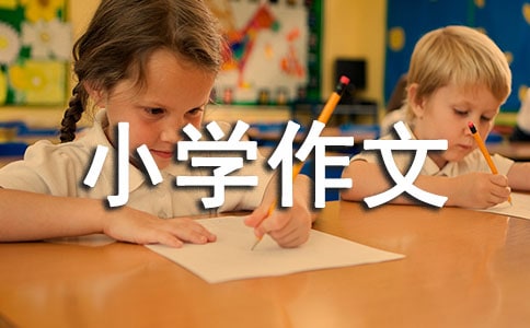 天上下起流浪猫小学作文200字