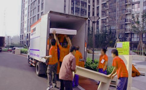 我发现了蚂蚁搬家的秘密二年级作文