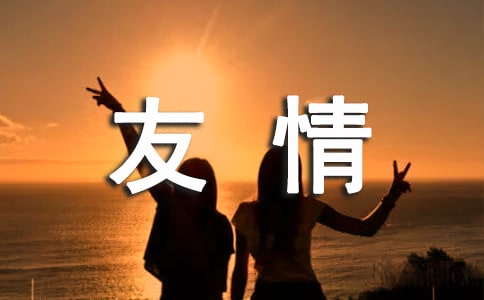 友情优秀的作文800字