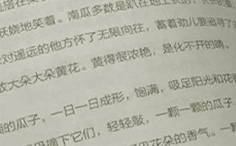 关于小升初语文满分作文